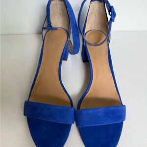 Banana Republic Cobalt Blue Suede Ankle-Strap Block Heel Sandals